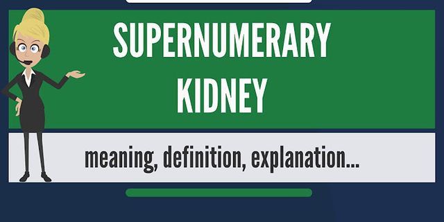 kidney là gì - Nghĩa của từ kidney
