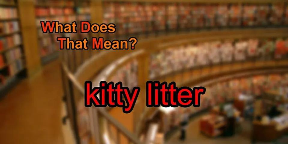 kitty litter là gì - Nghĩa của từ kitty litter