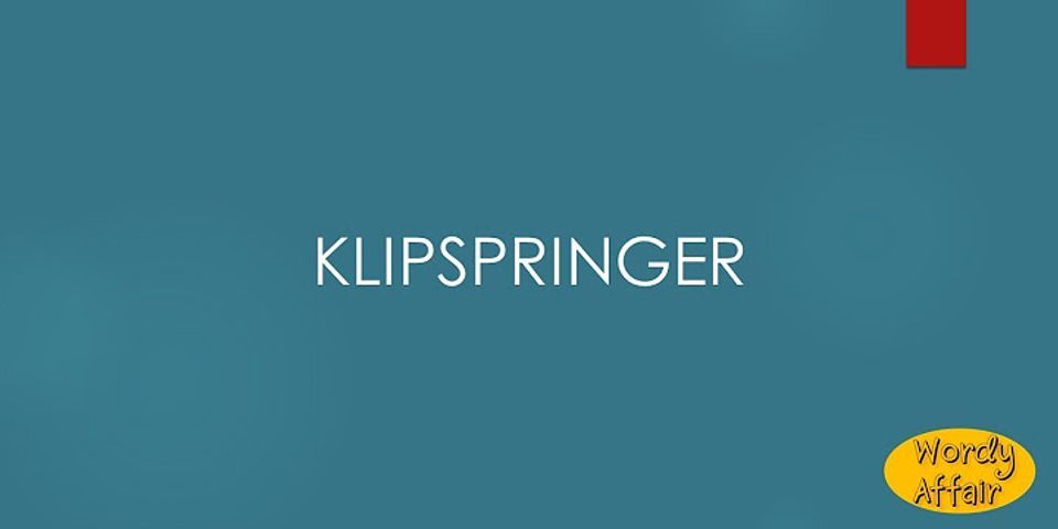 klipspringer là gì - Nghĩa của từ klipspringer