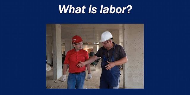 labor là gì - Nghĩa của từ labor