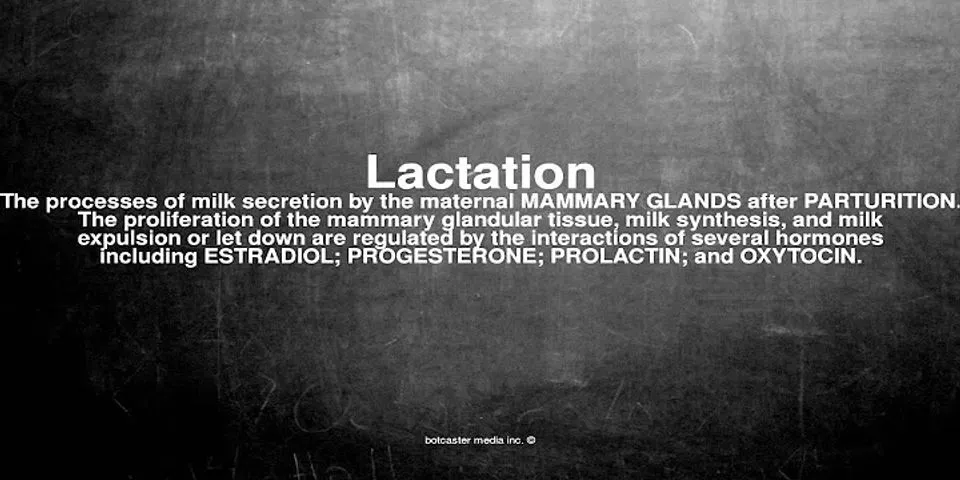 lactation là gì - Nghĩa của từ lactation