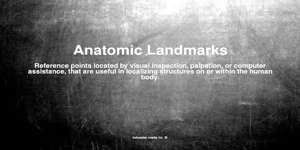 landmarks là gì - Nghĩa của từ landmarks