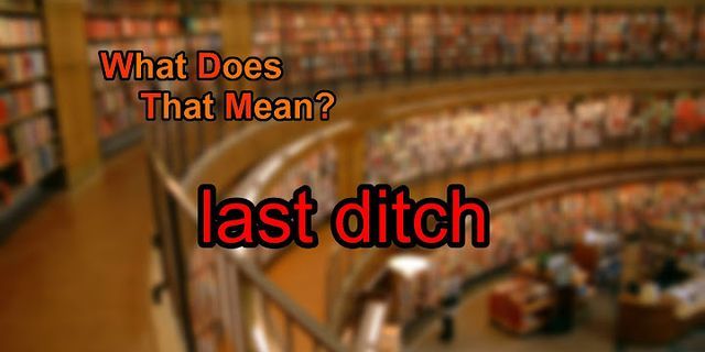 last-ditch là gì - Nghĩa của từ last-ditch