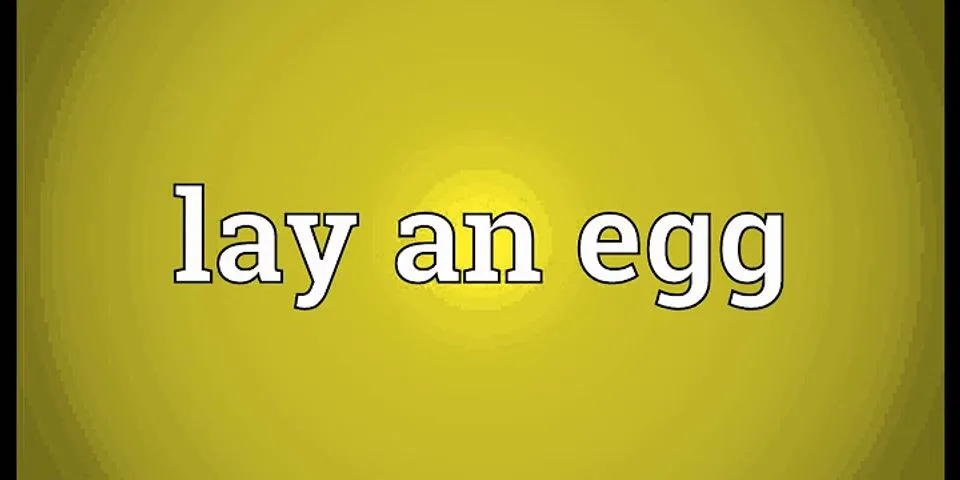 lay an egg là gì - Nghĩa của từ lay an egg