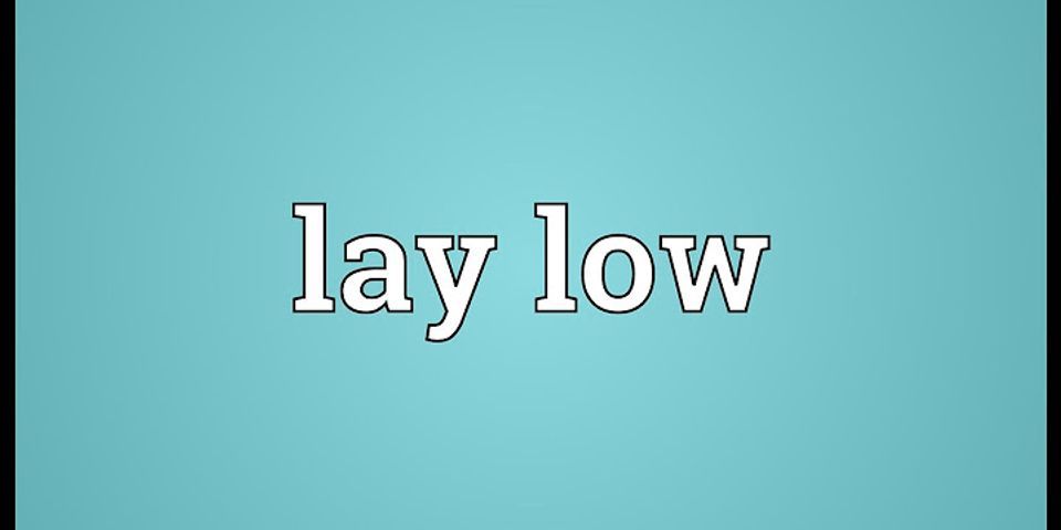 lay low là gì - Nghĩa của từ lay low
