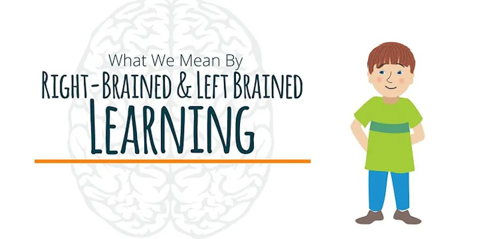left brain / right brain là gì - Nghĩa của từ left brain / right brain