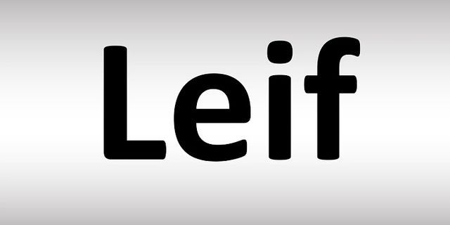 leif là gì - Nghĩa của từ leif