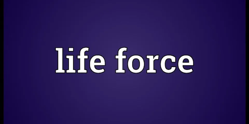 life force là gì - Nghĩa của từ life force