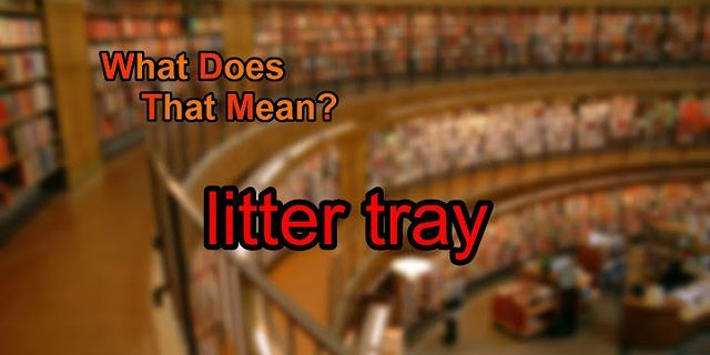 litter tray là gì - Nghĩa của từ litter tray