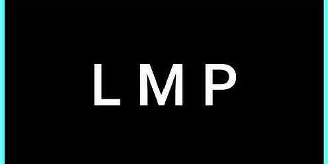 lmps là gì - Nghĩa của từ lmps