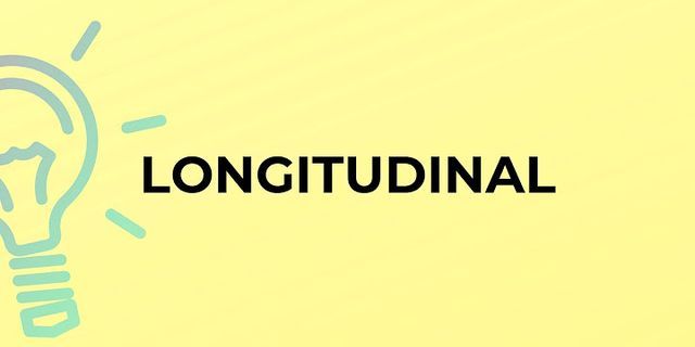 longitudinal là gì - Nghĩa của từ longitudinal