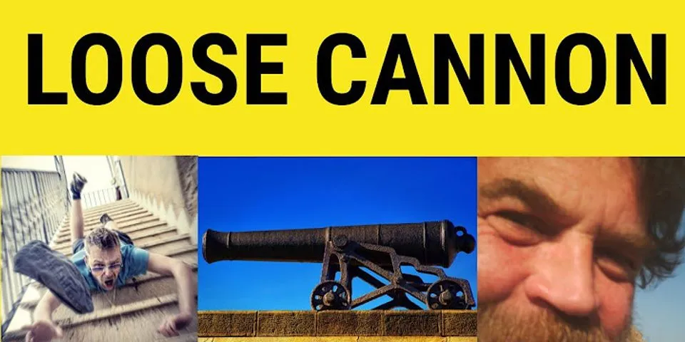 loose cannon là gì - Nghĩa của từ loose cannon