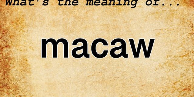 macaw là gì - Nghĩa của từ macaw