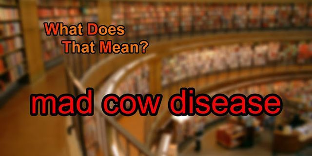 mad cow disease là gì - Nghĩa của từ mad cow disease