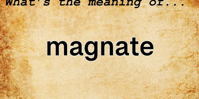 magnate là gì - Nghĩa của từ magnate