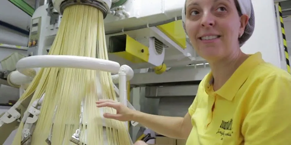 making spaghetti là gì - Nghĩa của từ making spaghetti