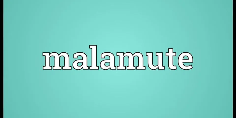 malamute là gì - Nghĩa của từ malamute
