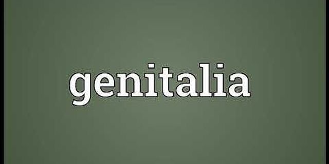 male genitalia là gì - Nghĩa của từ male genitalia