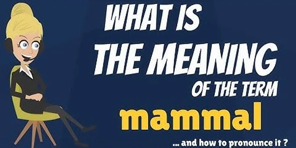 mamman là gì - Nghĩa của từ mamman
