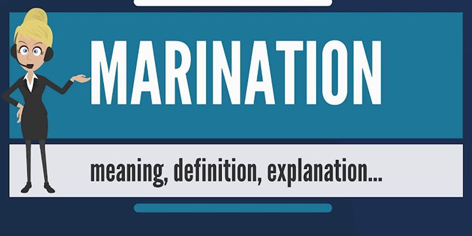 marination station là gì - Nghĩa của từ marination station