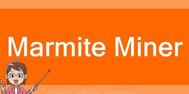 marmite miner là gì - Nghĩa của từ marmite miner