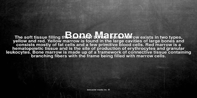 marrow là gì - Nghĩa của từ marrow