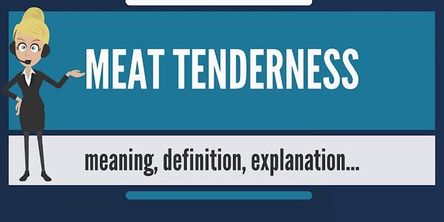 meat tenderiser là gì - Nghĩa của từ meat tenderiser