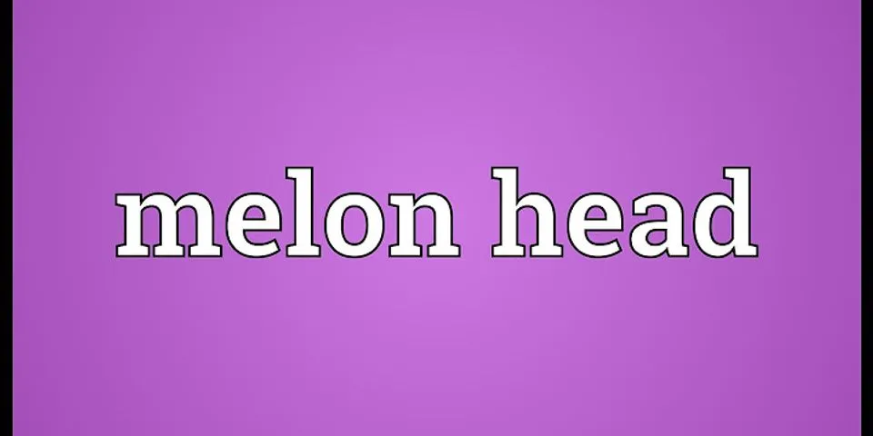 melon head là gì - Nghĩa của từ melon head