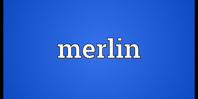 merlin là gì - Nghĩa của từ merlin