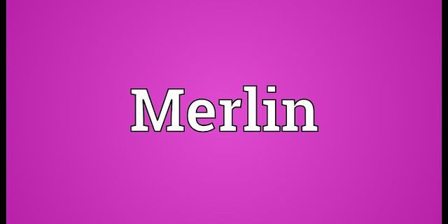 merlins là gì - Nghĩa của từ merlins