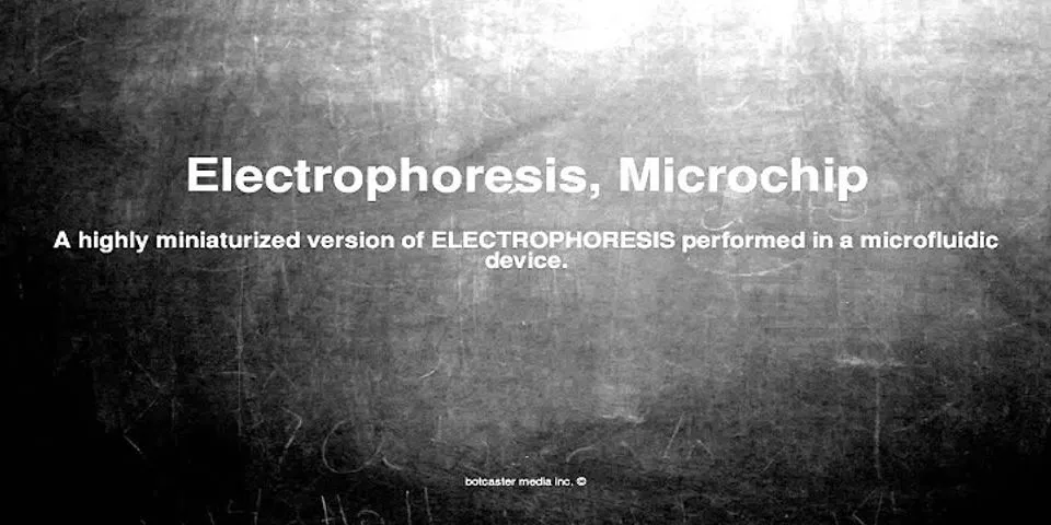 microchip là gì - Nghĩa của từ microchip