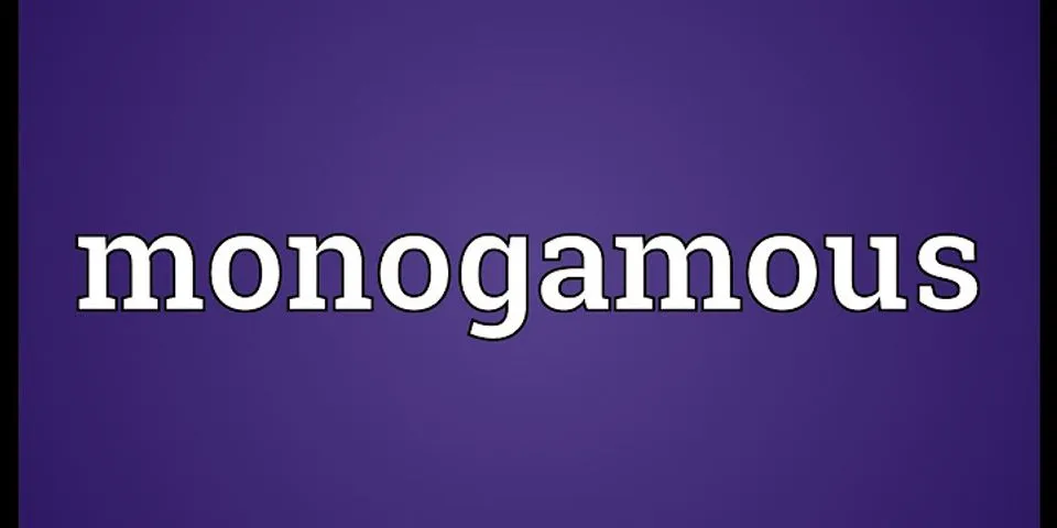monogamous relationship là gì - Nghĩa của từ monogamous relationship