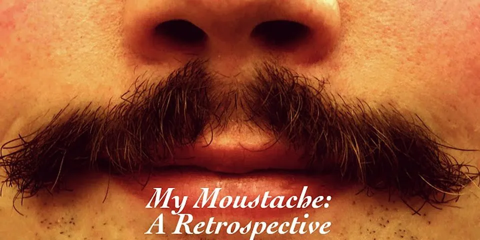 moustache là gì - Nghĩa của từ moustache