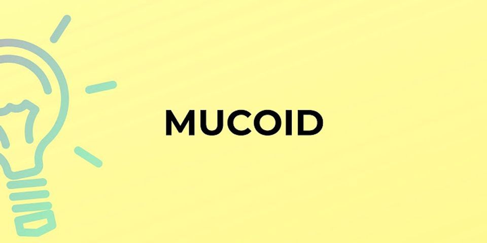 mucoid là gì - Nghĩa của từ mucoid