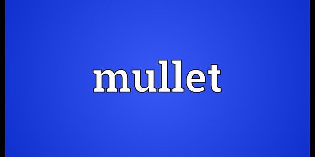 mullets là gì - Nghĩa của từ mullets