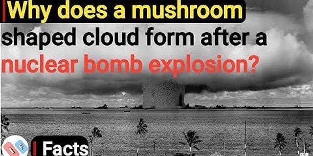 mushroom cloud là gì - Nghĩa của từ mushroom cloud