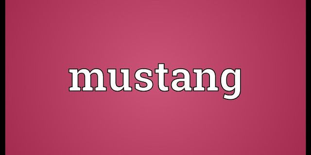 mustangs là gì - Nghĩa của từ mustangs