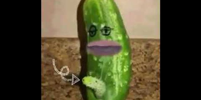 my pickle là gì - Nghĩa của từ my pickle