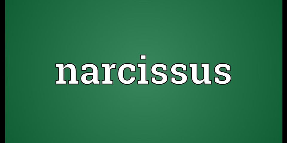 narcissi là gì - Nghĩa của từ narcissi