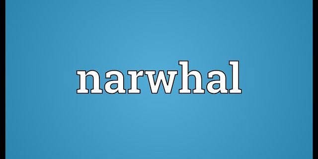 narwhals là gì - Nghĩa của từ narwhals