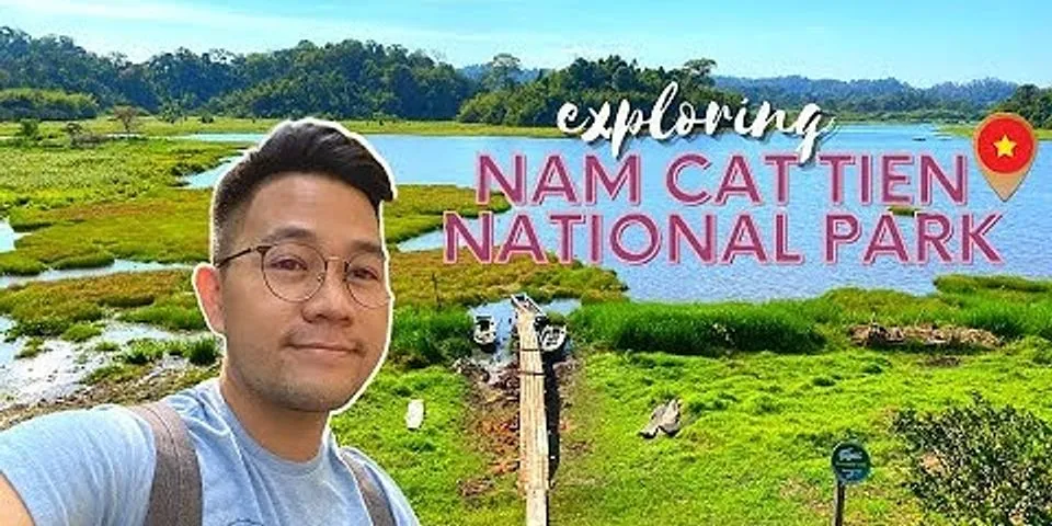 national cat day là gì - Nghĩa của từ national cat day