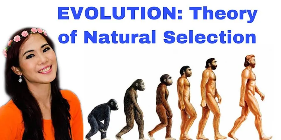 natural-selection là gì - Nghĩa của từ natural-selection