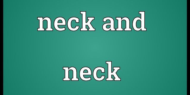 neck on neck là gì - Nghĩa của từ neck on neck