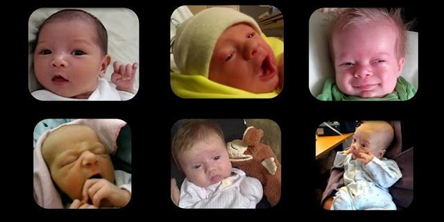 newborn babys là gì - Nghĩa của từ newborn babys