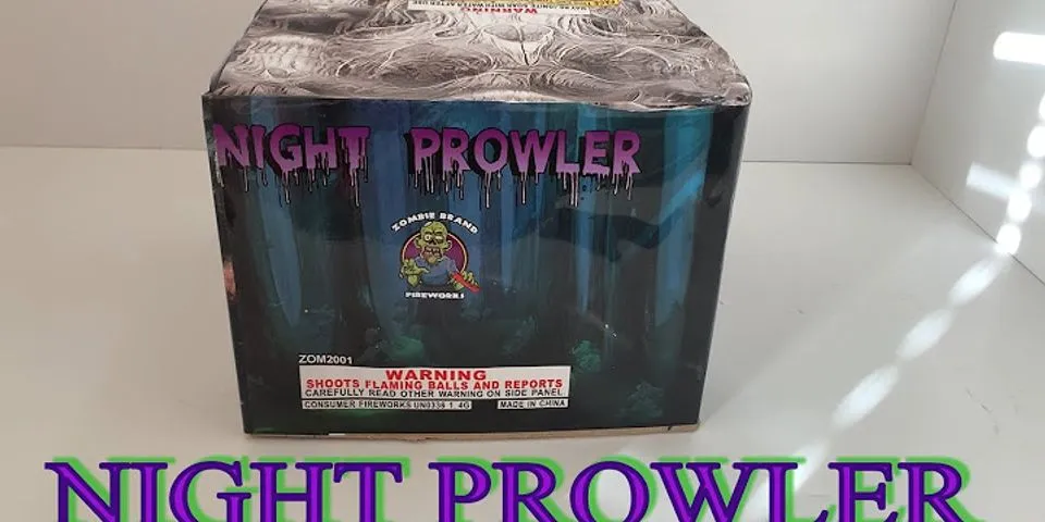 night prowler là gì - Nghĩa của từ night prowler