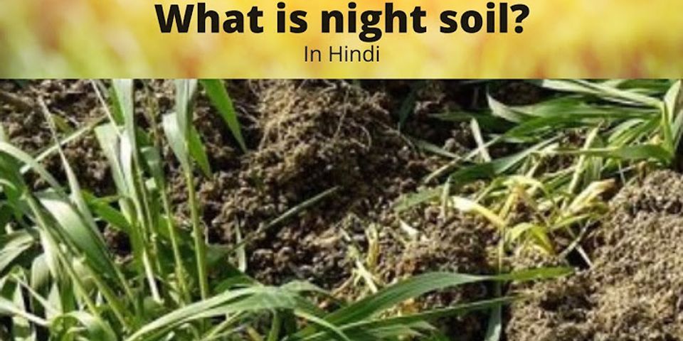 night soil là gì - Nghĩa của từ night soil