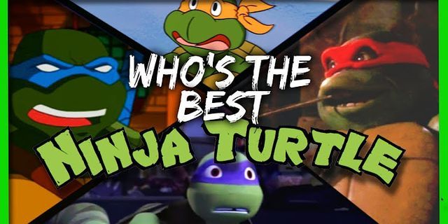ninja turtle là gì - Nghĩa của từ ninja turtle