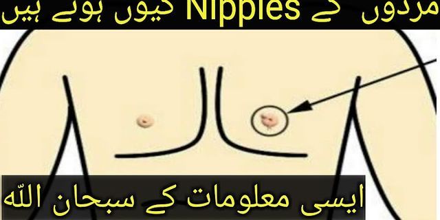nipple on là gì - Nghĩa của từ nipple on
