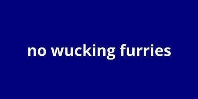 no wucking furries là gì - Nghĩa của từ no wucking furries