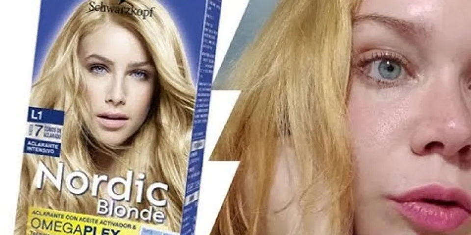 nordic blondes là gì - Nghĩa của từ nordic blondes